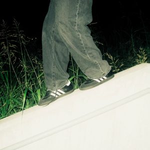 GIO-WDIG_CVR